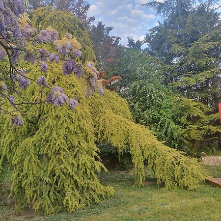 Gite Au Coeur De La Provence & Spa Saint-Cannat Buitenkant foto