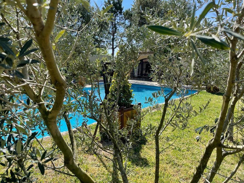 Gite Au Coeur De La Provence & Spa Saint-Cannat Buitenkant foto