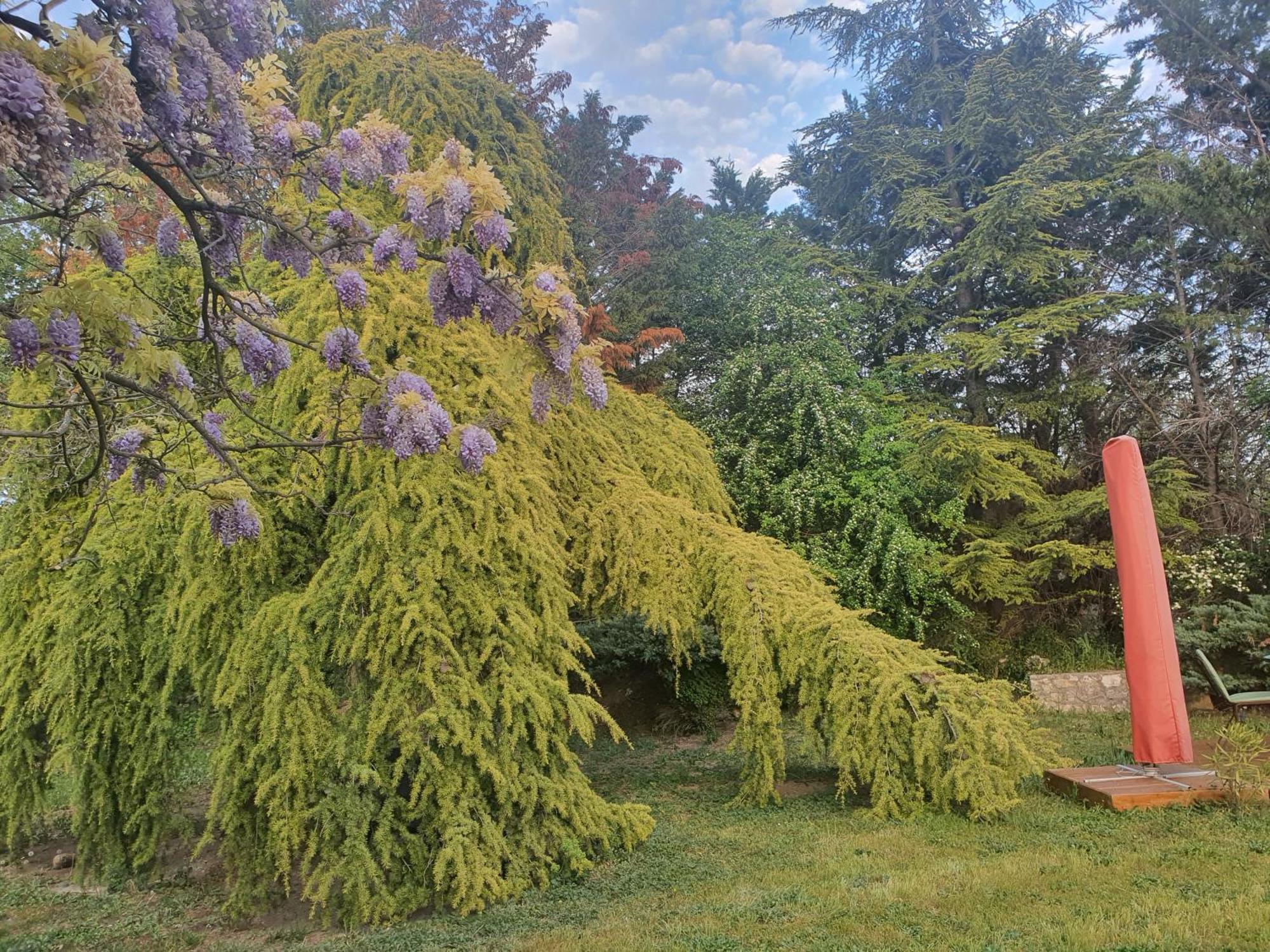 Gite Au Coeur De La Provence & Spa Saint-Cannat Buitenkant foto